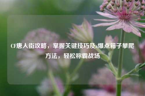 CF唐人街攻略，掌握关键技巧及a爆点箱子攀爬方法，轻松称霸战场