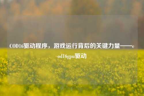 COD16驱动程序，游戏运行背后的关键力量——cod16gpu驱动