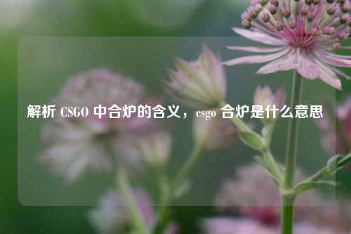 解析 CSGO 中合炉的含义，csgo 合炉是什么意思