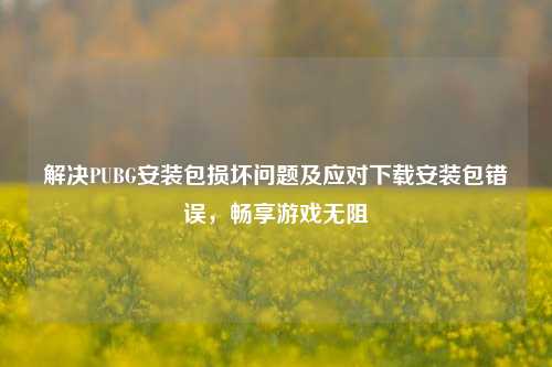 解决PUBG安装包损坏问题及应对下载安装包错误，畅享游戏无阻