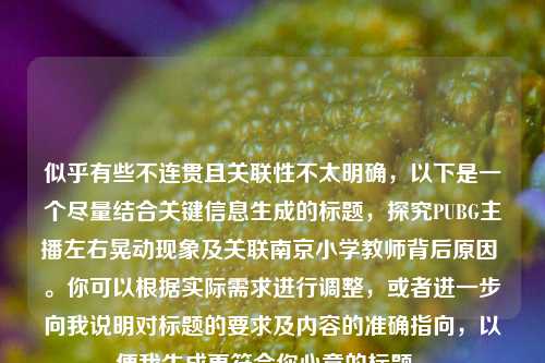 似乎有些不连贯且关联性不太明确，以下是一个尽量结合关键信息生成的标题，探究PUBG主播左右晃动现象及关联南京小学教师背后原因 。你可以根据实际需求进行调整，或者进一步向我说明对标题的要求及内容的准确指向，以便我生成更符合你心意的标题 。