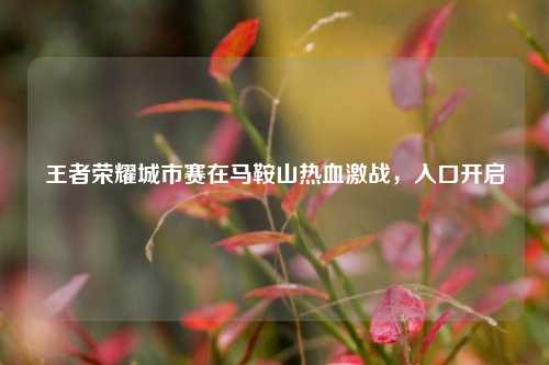 王者荣耀城市赛在马鞍山热血激战，入口开启