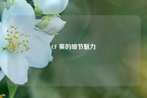 CF 葵的细节魅力