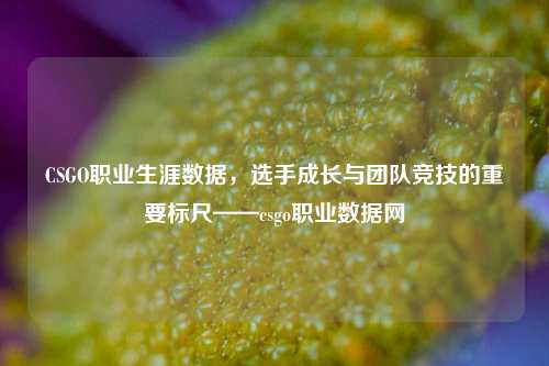 CSGO职业生涯数据，选手成长与团队竞技的重要标尺——csgo职业数据网