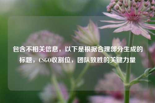 包含不相关信息，以下是根据合理部分生成的标题，CSGO收割位，团队致胜的关键力量