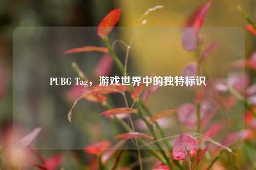 PUBG Tag，游戏世界中的独特标识