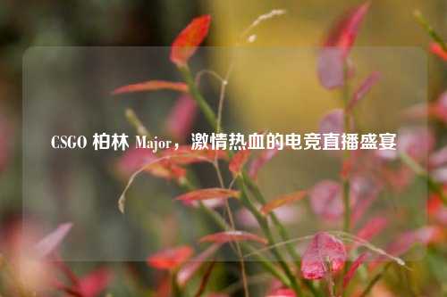 CSGO 柏林 Major，激情热血的电竞直播盛宴