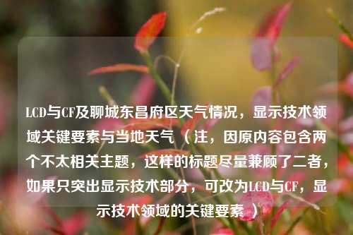 LCD与CF及聊城东昌府区天气情况，显示技术领域关键要素与当地天气 （注，因原内容包含两个不太相关主题，这样的标题尽量兼顾了二者，如果只突出显示技术部分，可改为LCD与CF，显示技术领域的关键要素 ）