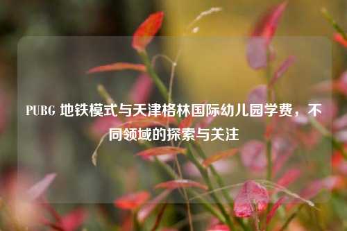 PUBG 地铁模式与天津格林国际幼儿园学费，不同领域的探索与关注