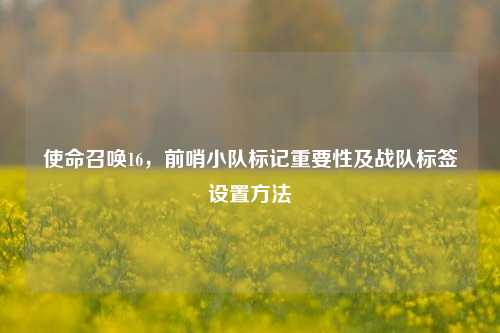 使命召唤16，前哨小队标记重要性及战队标签设置方法