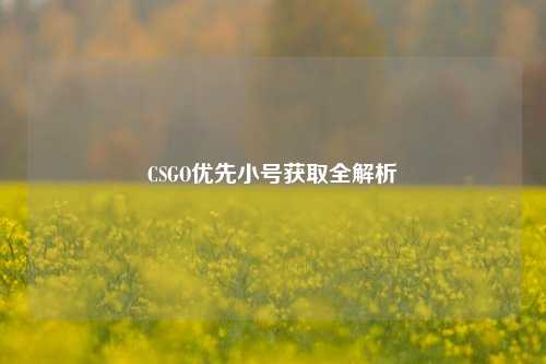 CSGO优先小号获取全解析