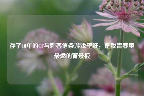 存了10年的CF与刺客信条游戏壁纸，是我青春里最燃的背景板