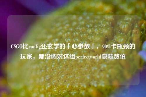 CSGO比config还玄学的「心参数」，90%卡瓶颈的玩家，都没调对这组perfectworld隐藏数值