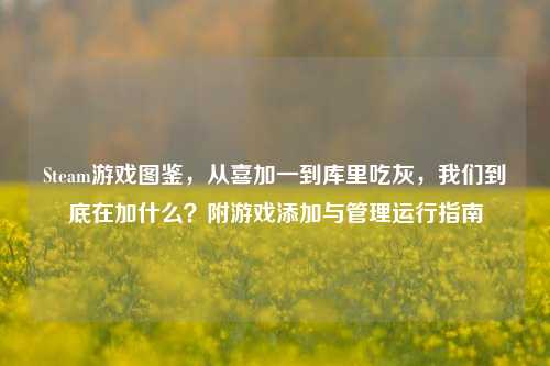 Steam游戏图鉴，从喜加一到库里吃灰，我们到底在加什么？附游戏添加与管理运行指南