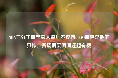 NBA三分王库里藏太深！不仅有CSGO库存是地下狙神，赛场搞笑瞬间还超有梗