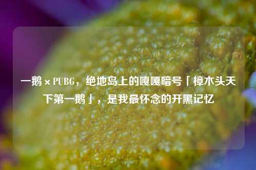 一鹅×PUBG，绝地岛上的嘎嘎暗号「樟木头天下第一鹅」，是我最怀念的开黑记忆