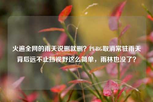 火遍全网的雨天说删就删？PUBG取消常驻雨天背后远不止挡视野这么简单，雨林也没了？