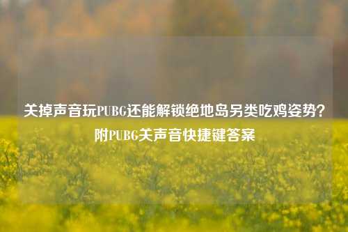 关掉声音玩PUBG还能解锁绝地岛另类吃鸡姿势？附PUBG关声音快捷键答案
