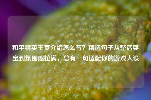 和平精英主页介绍怎么写？精选句子从整活耍宝到氛围感拉满，总有一句适配你的游戏人设