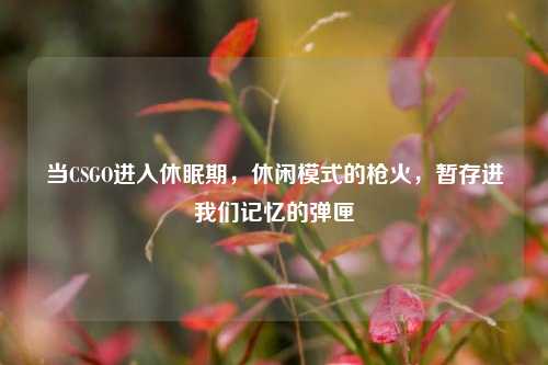 当CSGO进入休眠期，休闲模式的枪火，暂存进我们记忆的弹匣