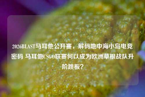 2026BLAST马耳他公开赛，解码地中海小岛电竞密码 马耳他CSGO联赛何以成为欧洲草根战队升阶跳板？
