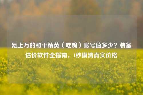 氪上万的和平精英（吃鸡）账号值多少？装备估价软件全指南，1秒摸清真实价格