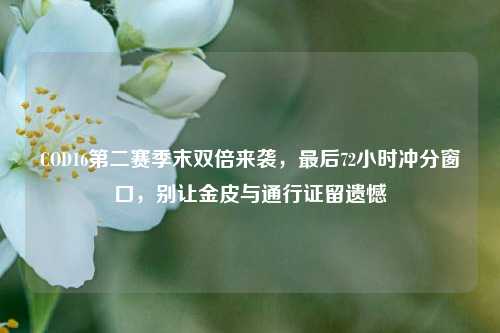 COD16第二赛季末双倍来袭，最后72小时冲分窗口，别让金皮与通行证留遗憾