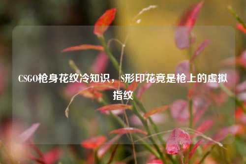 CSGO枪身花纹冷知识，S形印花竟是枪上的虚拟指纹