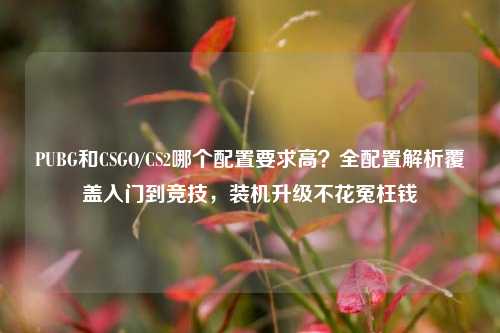 PUBG和CSGO/CS2哪个配置要求高？全配置解析覆盖入门到竞技，装机升级不花冤枉钱