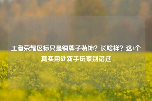 王者荣耀区标只是铜牌子装饰？长啥样？这4个真实用处新手玩家别错过