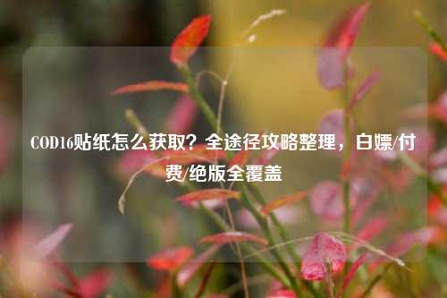 COD16贴纸怎么获取？全途径攻略整理，白嫖/付费/绝版全覆盖