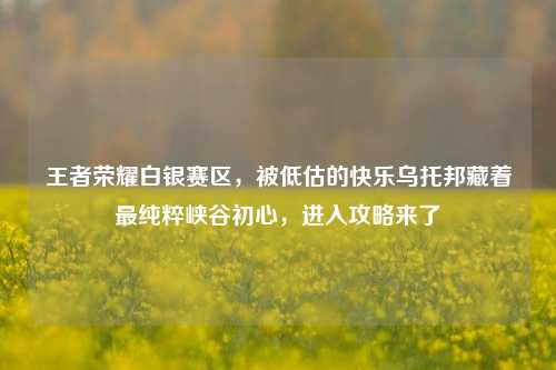 王者荣耀白银赛区，被低估的快乐乌托邦藏着最纯粹峡谷初心，进入攻略来了