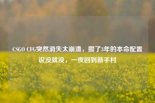 CSGO CFG突然消失太崩溃，攒了3年的本命配置说没就没，一夜回到新手村