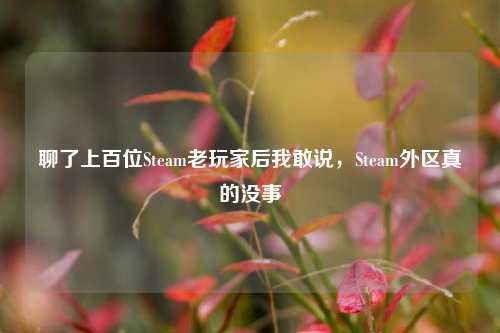 聊了上百位Steam老玩家后我敢说，Steam外区真的没事