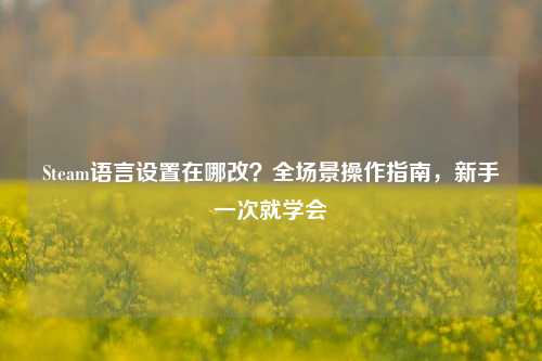 Steam语言设置在哪改？全场景操作指南，新手一次就学会