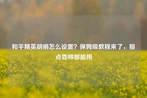 和平精英胡哨怎么设置？保姆级教程来了，报点耍帅都能用