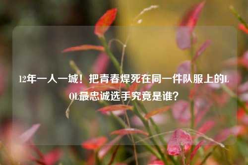 12年一人一城！把青春焊死在同一件队服上的LOL最忠诚选手究竟是谁？