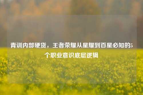 青训内部硬货，王者荣耀从星耀到百星必知的5个职业意识底层逻辑