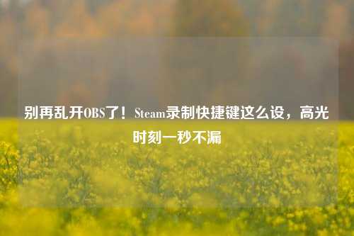 别再乱开OBS了！Steam录制快捷键这么设，高光时刻一秒不漏