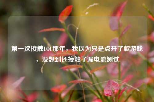 第一次接触LOL那年，我以为只是点开了款游戏，没想到还接触了漏电流测试