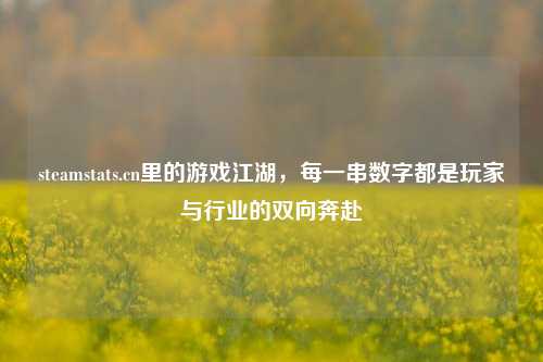 steamstats.cn里的游戏江湖，每一串数字都是玩家与行业的双向奔赴