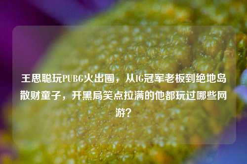王思聪玩PUBG火出圈，从IG冠军老板到绝地岛散财童子，开黑局笑点拉满的他都玩过哪些网游？