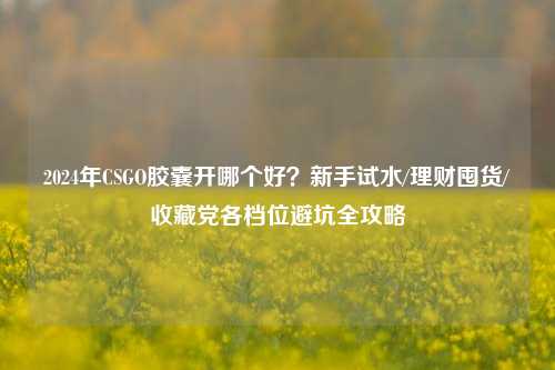 2024年CSGO胶囊开哪个好？新手试水/理财囤货/收藏党各档位避坑全攻略