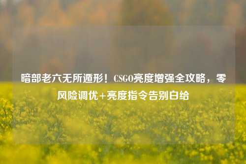 暗部老六无所遁形！CSGO亮度增强全攻略，零风险调优+亮度指令告别白给