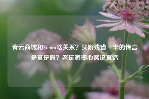 青云商城和Steam啥关系？买游戏省一半的传言是真是假？老玩家掏心窝说真话