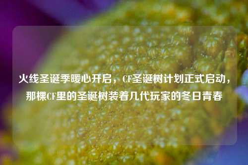 火线圣诞季暖心开启，CF圣诞树计划正式启动，那棵CF里的圣诞树装着几代玩家的冬日青春