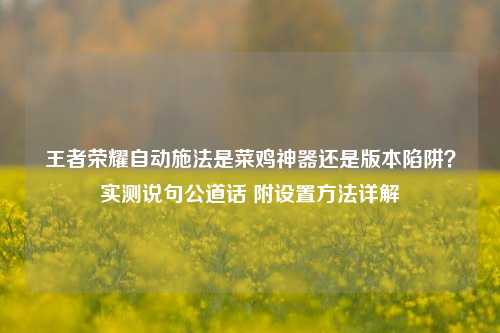 王者荣耀自动施法是菜鸡神器还是版本陷阱？实测说句公道话 附设置方法详解