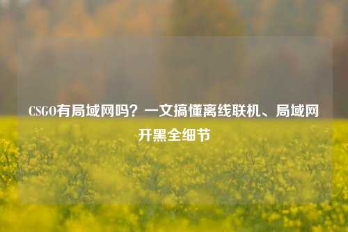 CSGO有局域网吗？一文搞懂离线联机、局域网开黑全细节