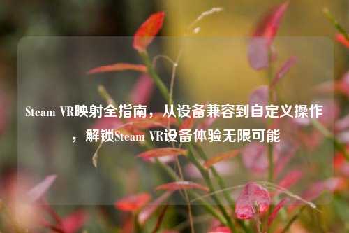 Steam VR映射全指南，从设备兼容到自定义操作，解锁Steam VR设备体验无限可能