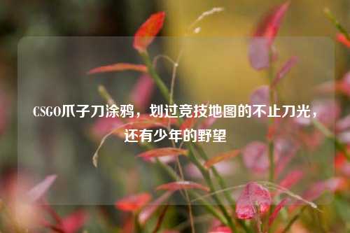 CSGO爪子刀涂鸦，划过竞技地图的不止刀光，还有少年的野望